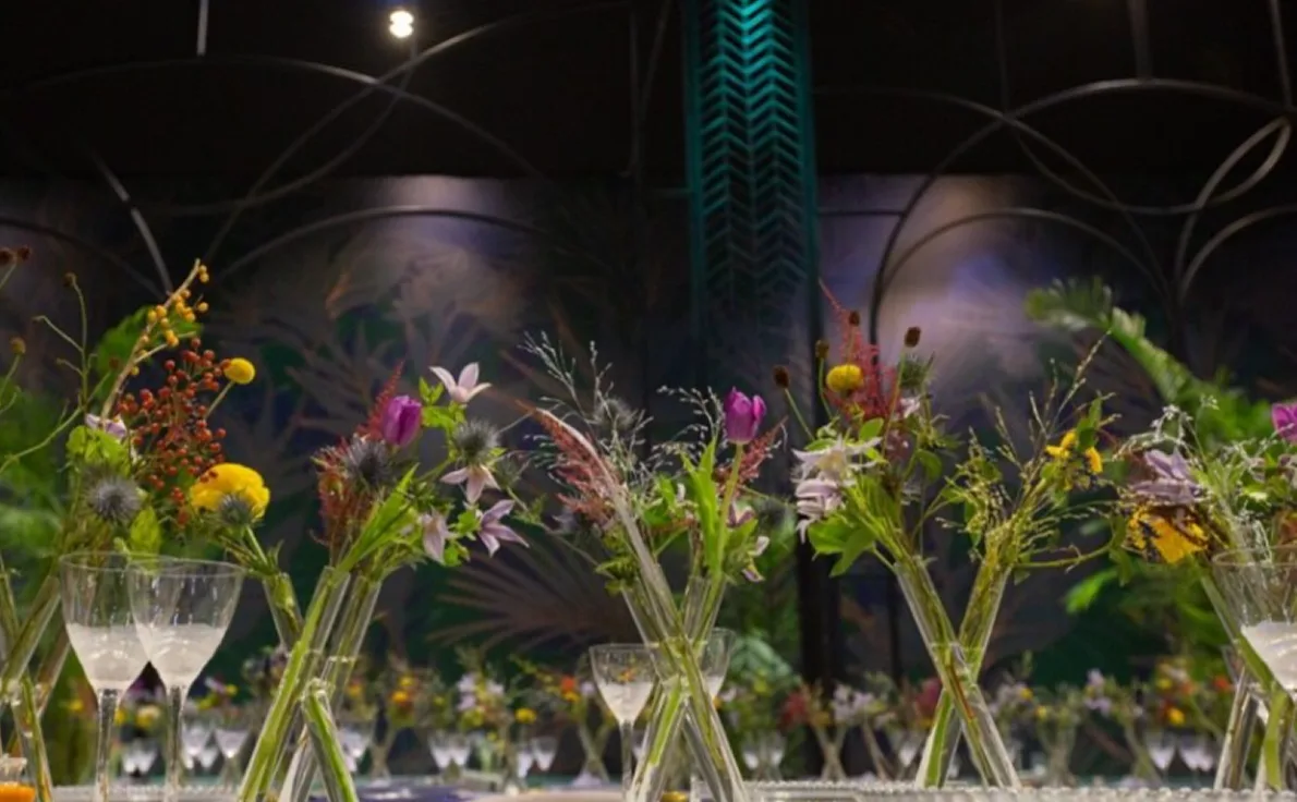 Nayyara promotes sustainability and food conservation through surplus food management.
